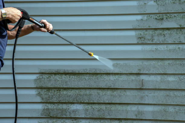 Best Roof Pressure Washing  in Hill N Dale, FL