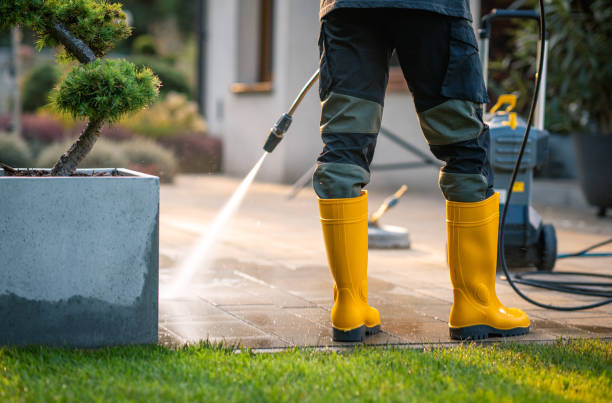 Best Pressure Washing Near Me  in Hill N Dale, FL